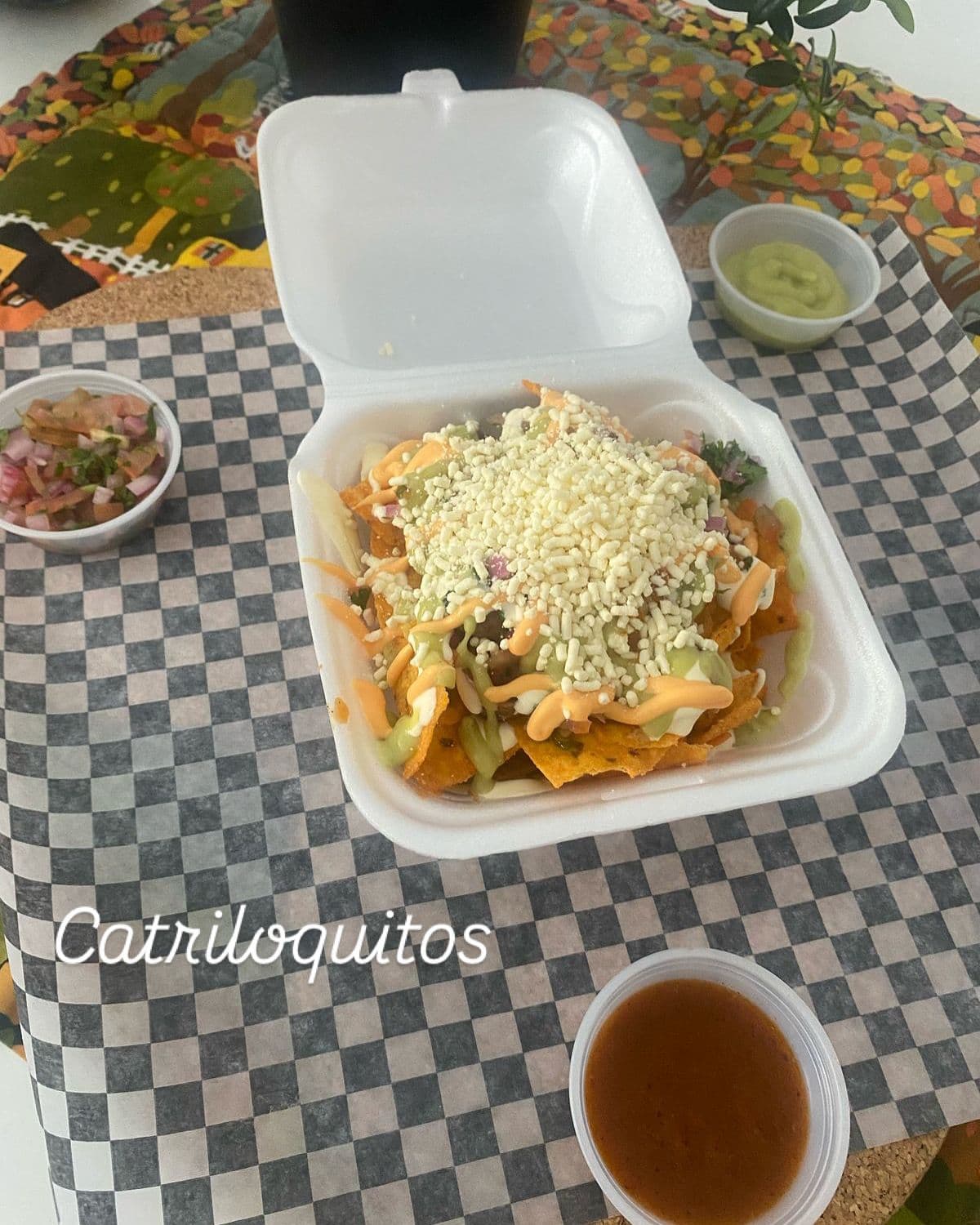 Catriloquitos