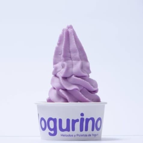 Yogurt Blueberry