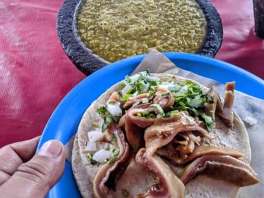 Combo Coca-Cola+ 5 Tacos de Cuerito