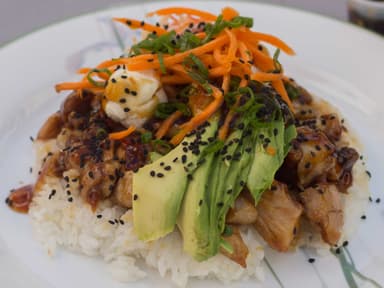Gohan Especial SIN CARNES