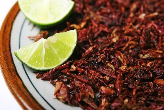 Taco de Chapulines