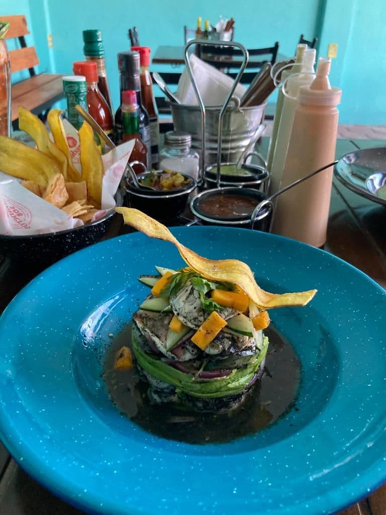 Ceviche Negro Especialidad Habaneros 308