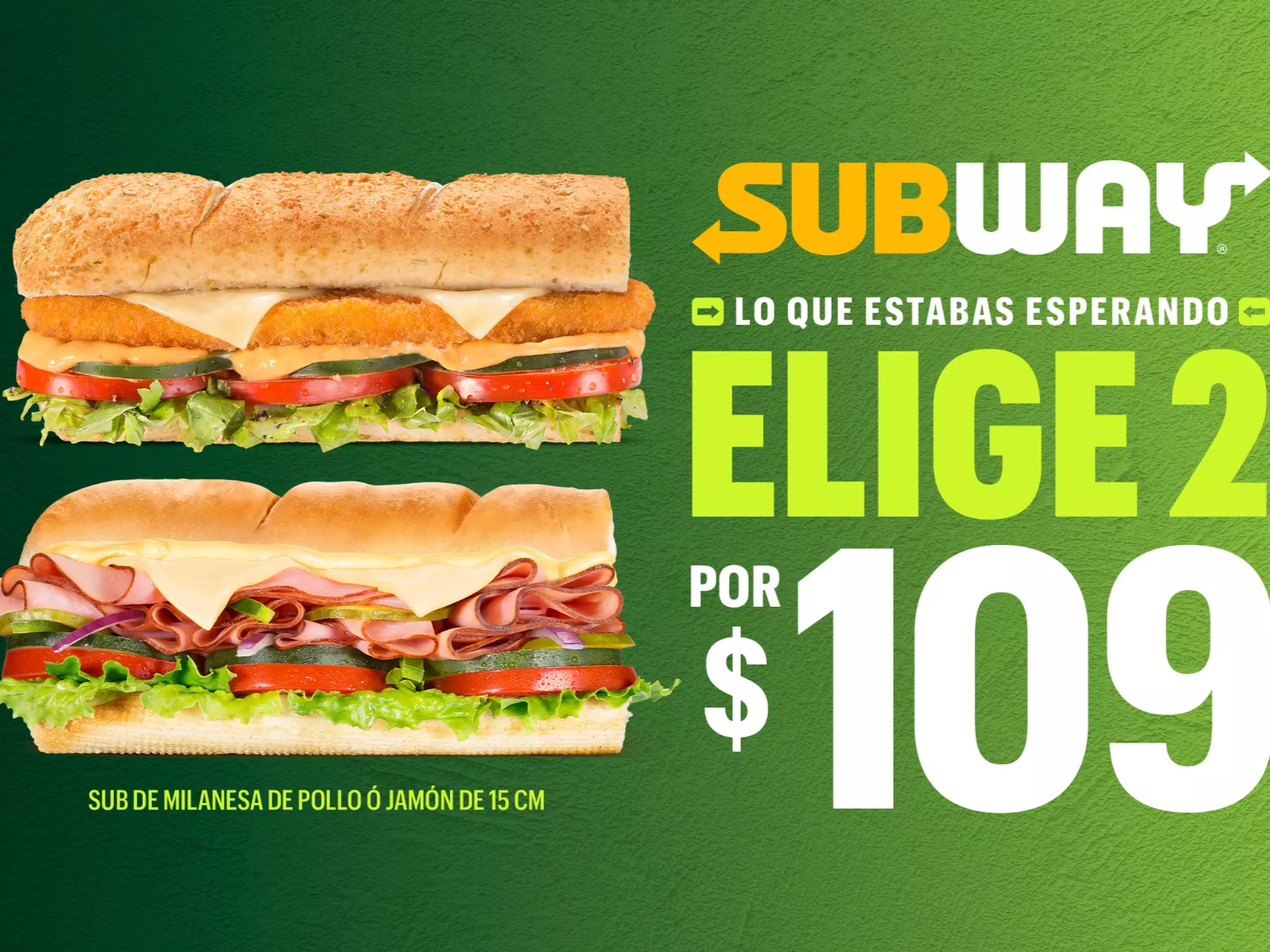 Subway (Navojoa 34149)
