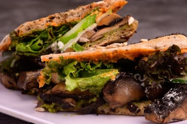 Fungus Panini