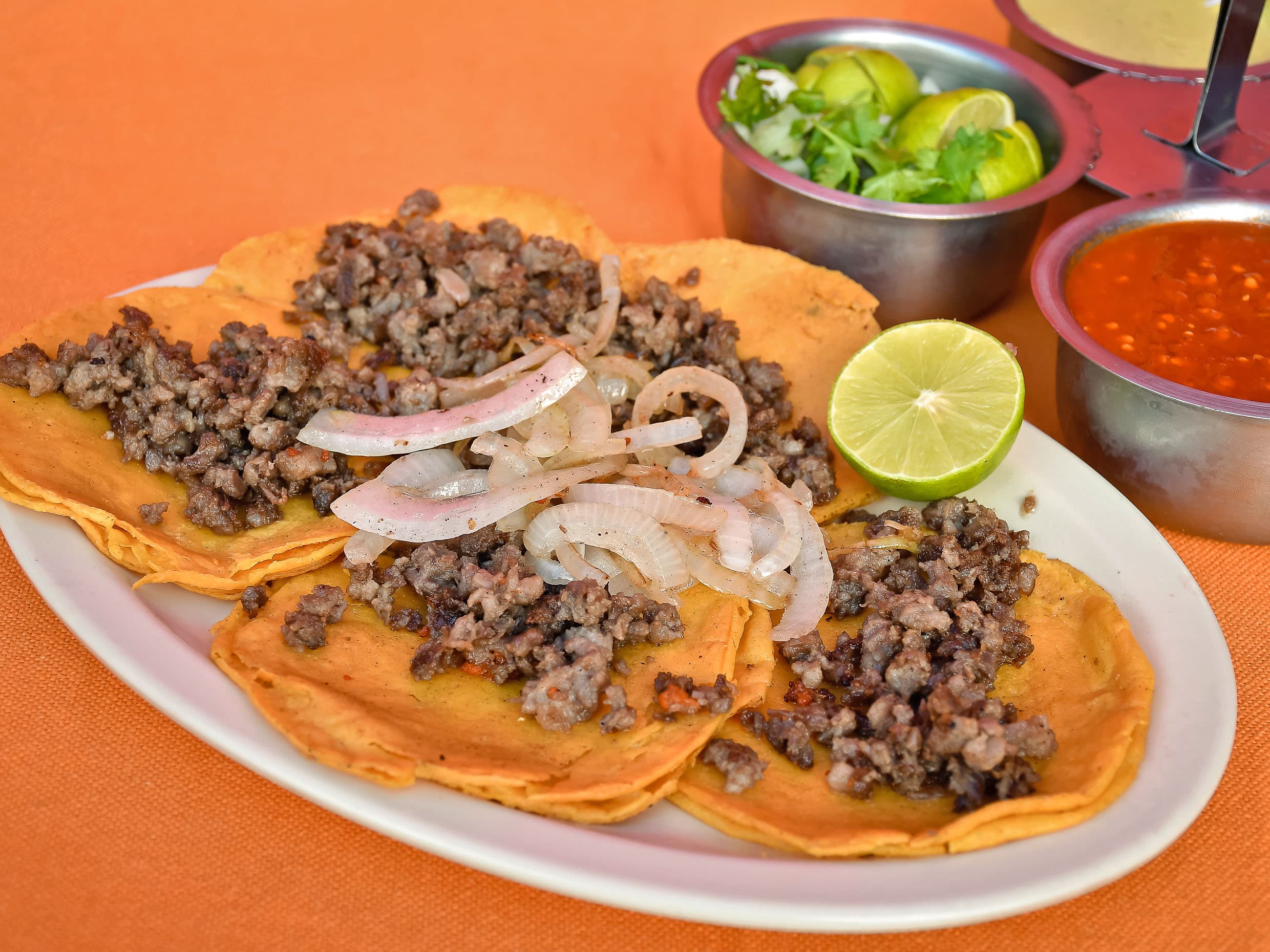 Tacos de Bistec