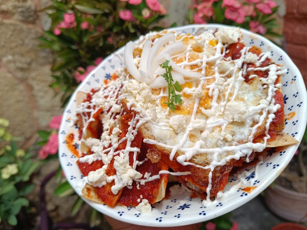 Chilaquiles Rojos Grandes con Huevo