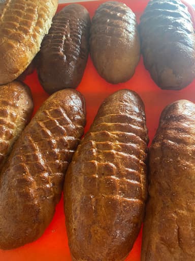 Elotito de Algarrobo
