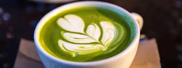 Matcha Hot