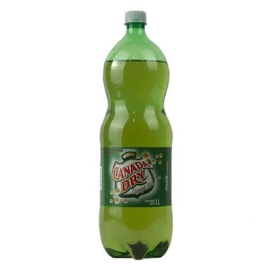Ginger Ale 2 Litros