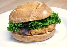 2 Hamburguesas de Pechuga de Pollo + 2 Gaseosa 250