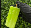 Paleta de Limón
