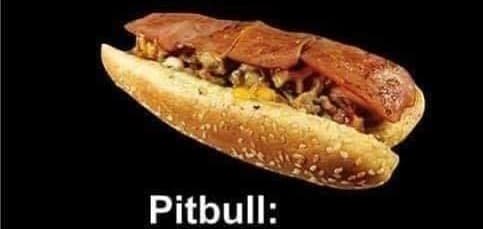 El Pitbull