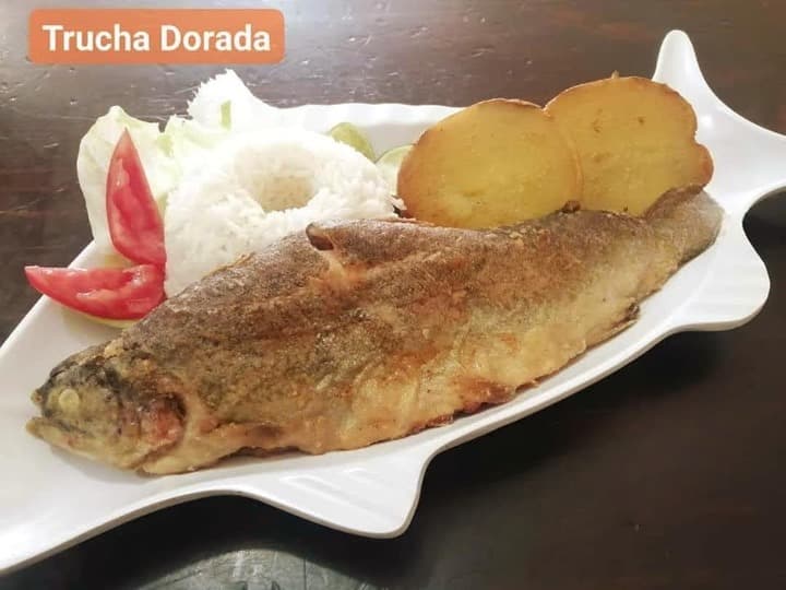 Trucha Dorada