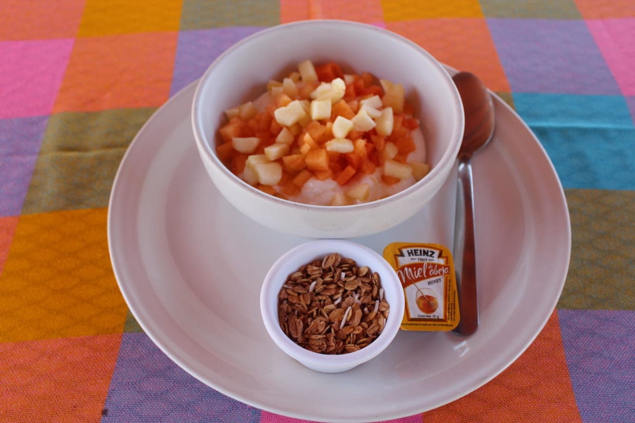 Yogurt con Fruta
