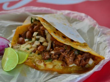 Quesa Birria Harina