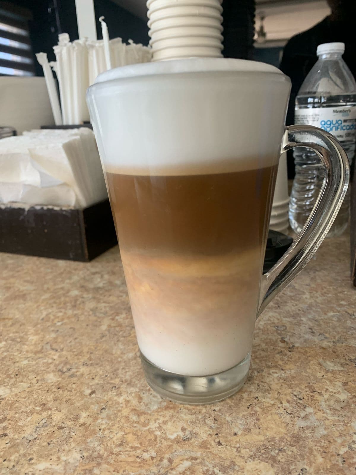 Capuccino Sabor 16 oz