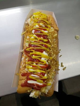 Perro Sencillo