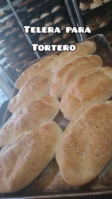 Telera para Tortero