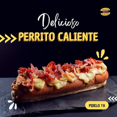 Perro Especial.