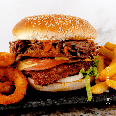 Hamburguesa Sencilla Especial