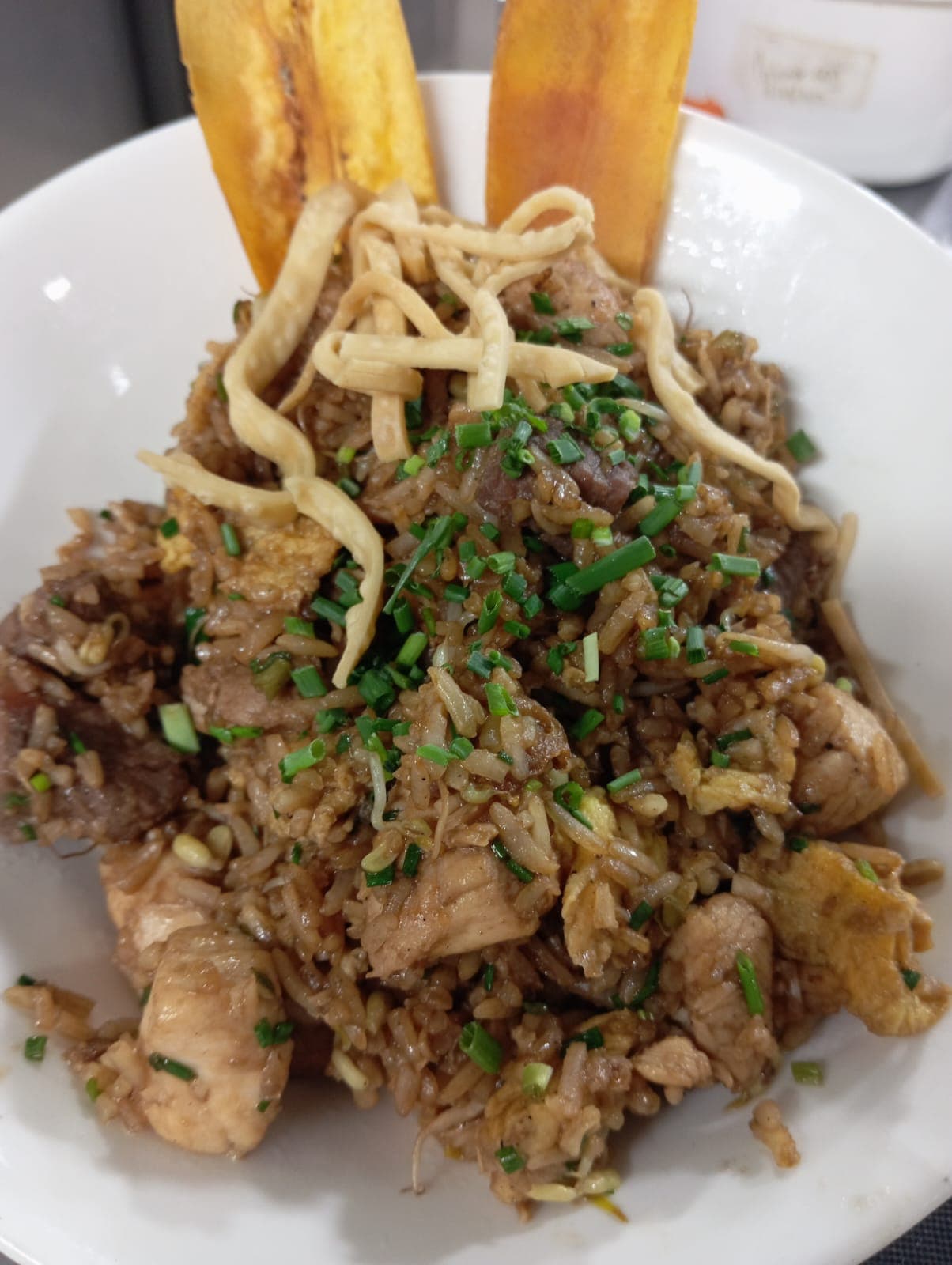 Chaufa Carnes