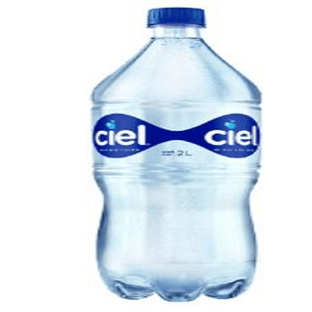 Agua embotellada 1 lt