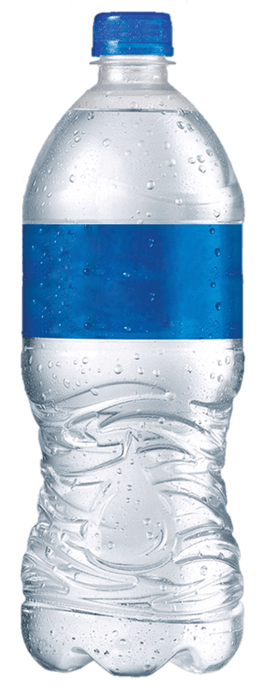 Agua Natural 1 lt