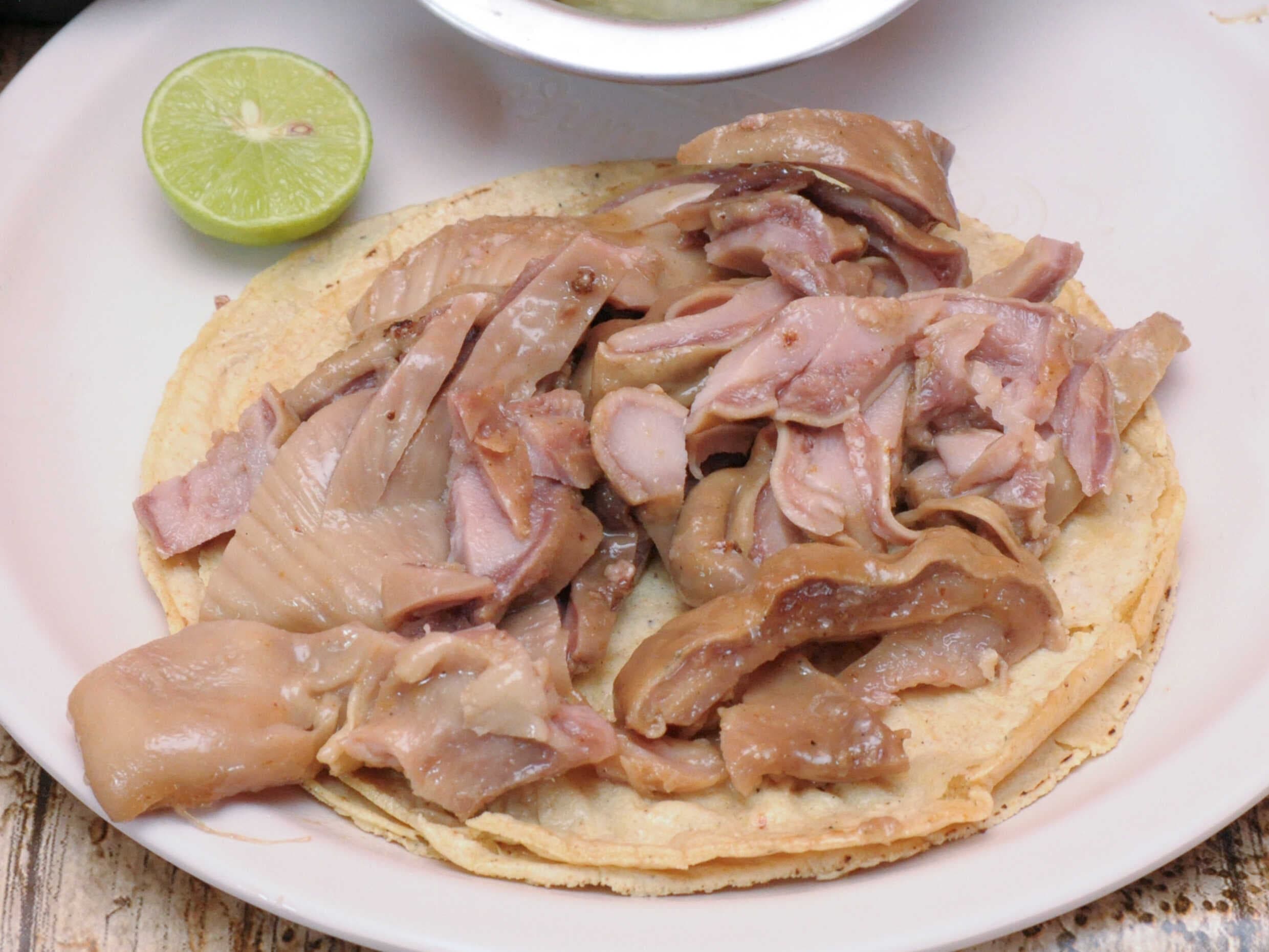 Taco de Buche