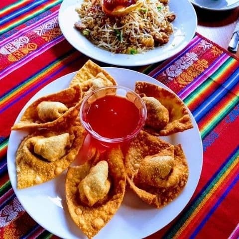 Wantán Frito Relleno de Pollo