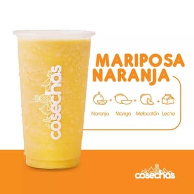 Mariposa Naranja