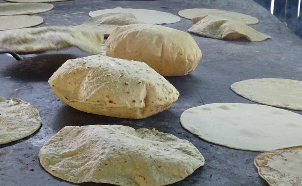 Tacos de Tortilla Recién Hecha Surtidos con Queso