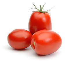 Tomate Bule KG