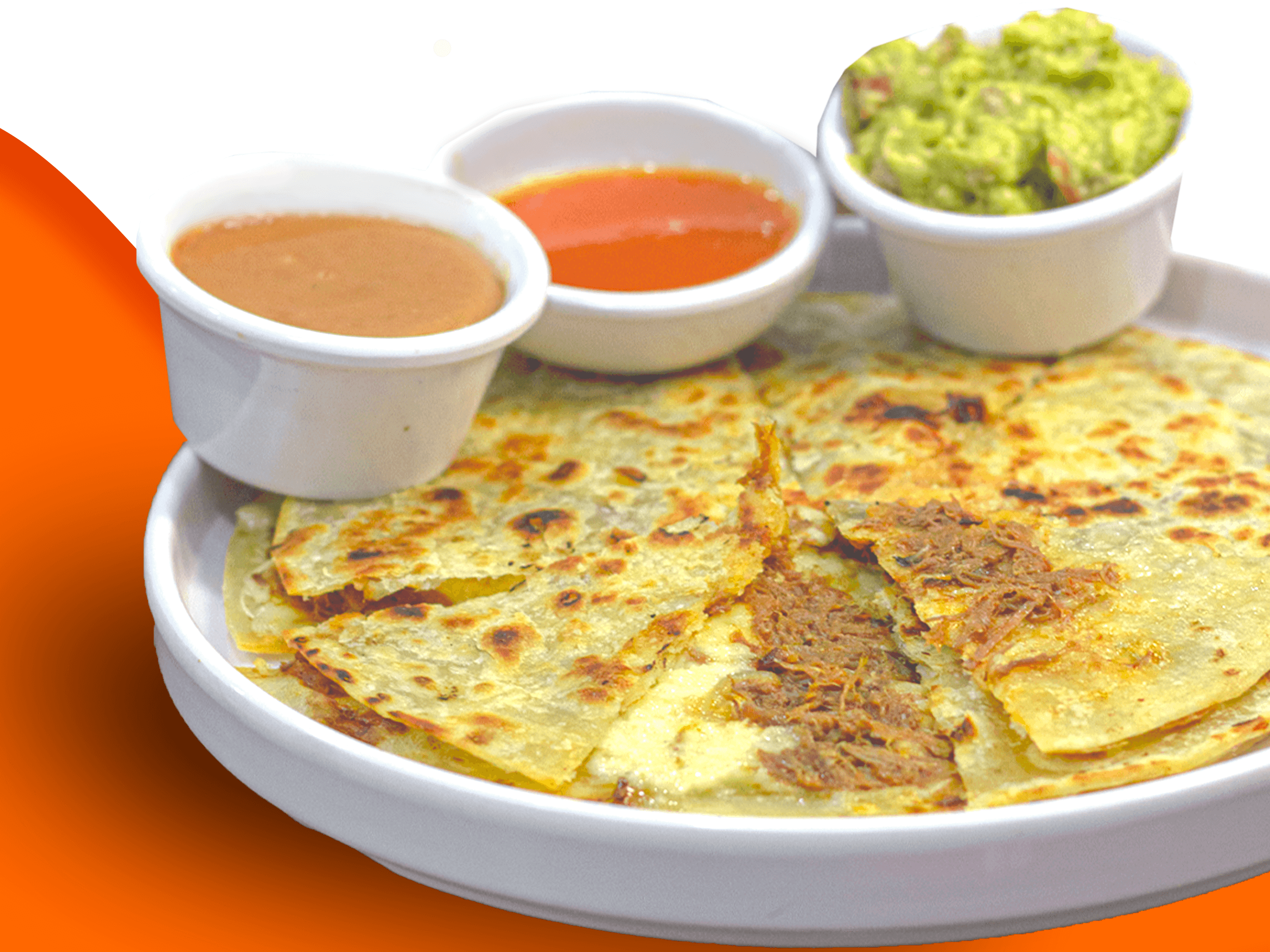 Quesadilla Especial