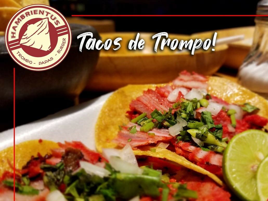 Combo - Tacos + Gringa