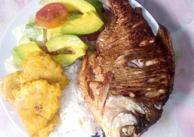 Cachama