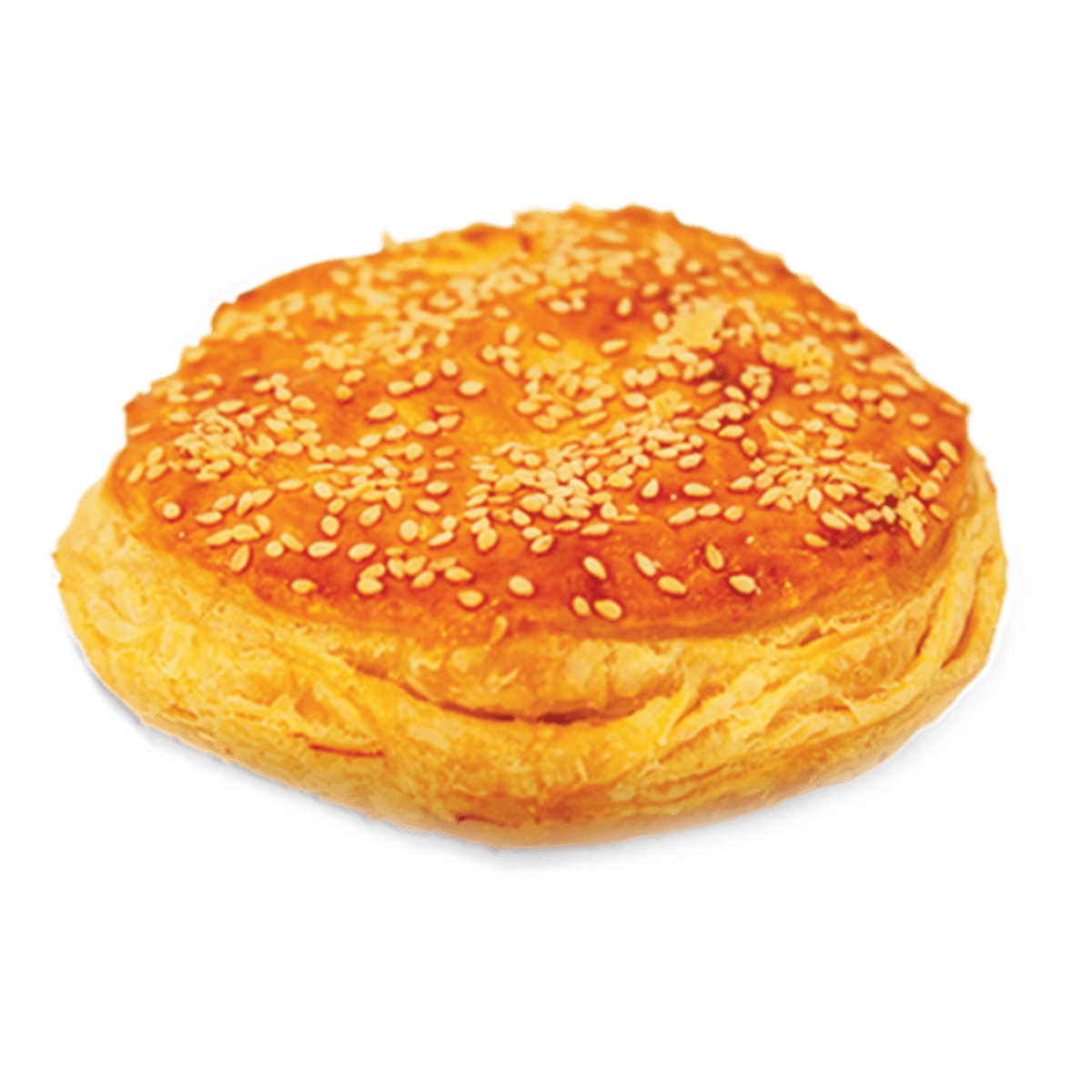 Pastelito de Carne