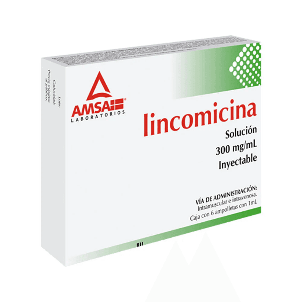 LINCOMICINA INY 300 MG/1ML C/6 (AMSA)