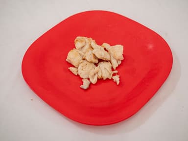 Pollo