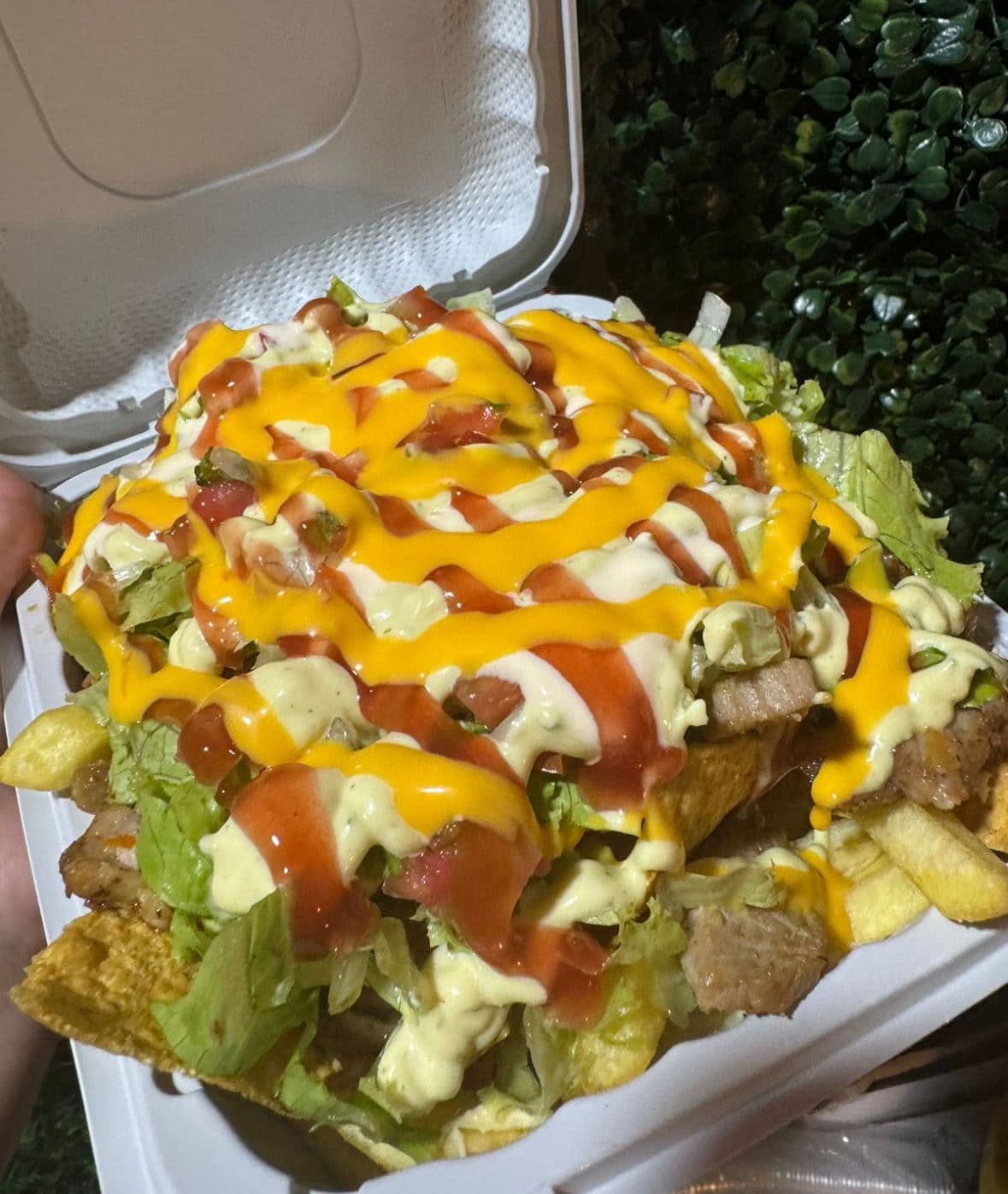 Papas Urbanas
