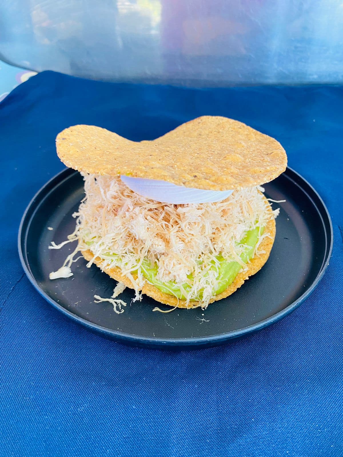 Tostada Jr. Especial