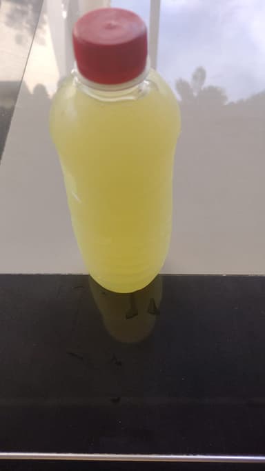Agua de Pepino con Moringa