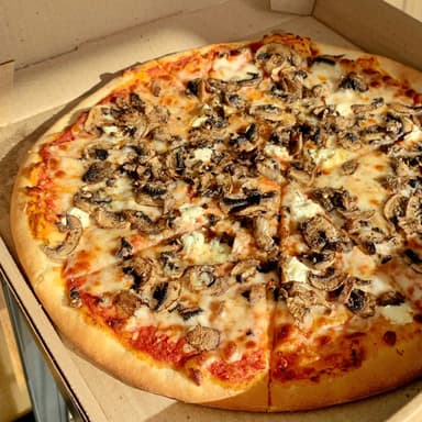 Pizza Funghi