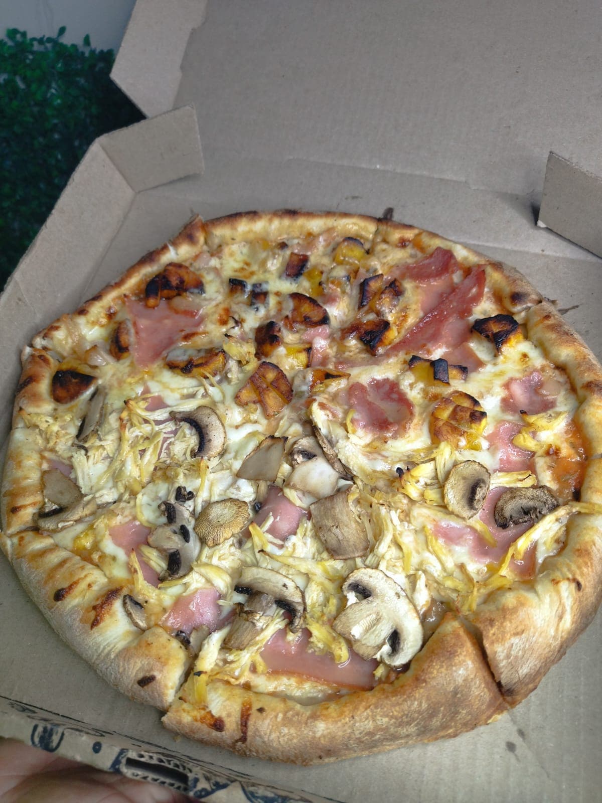 Pizza Champipollo Personal 4 Porciones