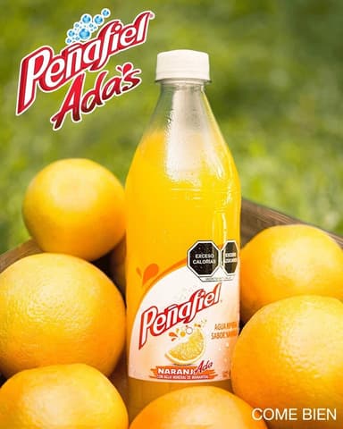 Naranjada Peñafiel