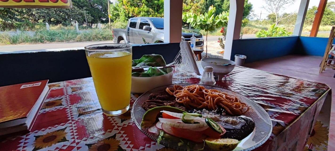 Milanesa de Res Empanizada