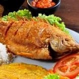Mojarra