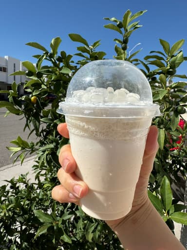 Leche de Durazno