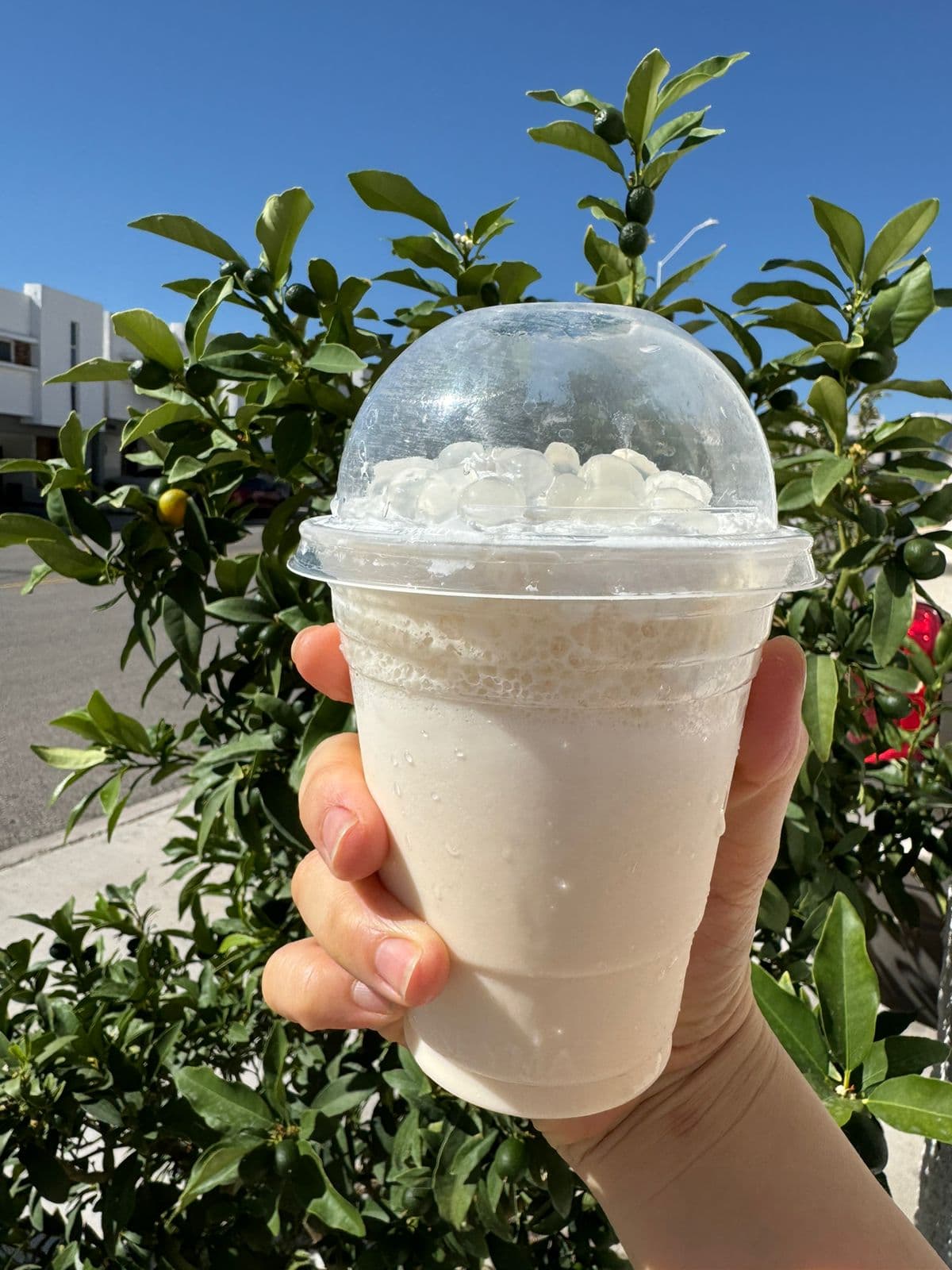 Leche de Durazno