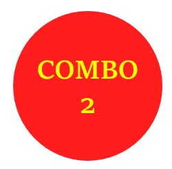 Combo 2 套餐