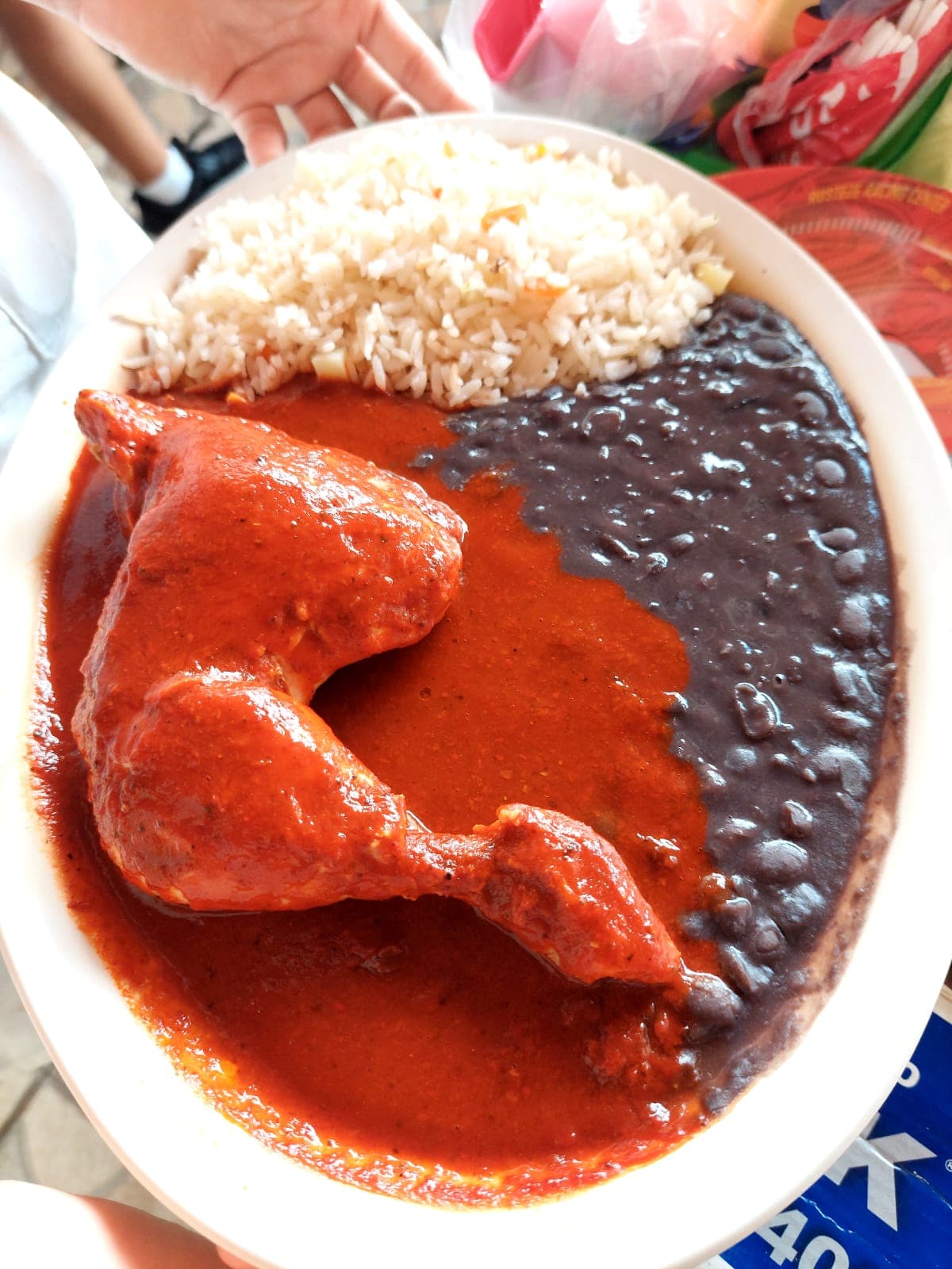Barbacoa de Pollo